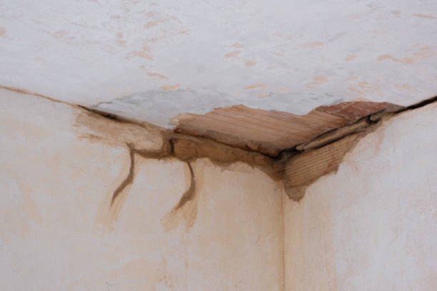 Best Flood restoration services  in Alcoa, TN