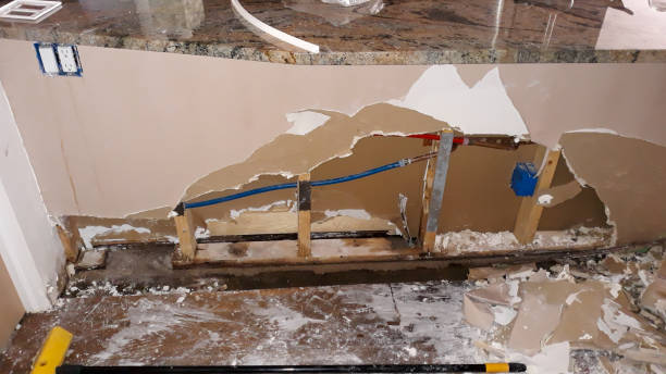 Best Basement water damage restoration  in Alcoa, TN